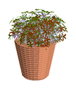 3D_Flower basket