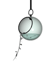 3D_Hanging Plant