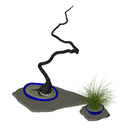 3D_Plant Bonzai_4