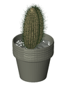 3D_Potted Plant