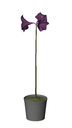 3D_Potted Plant_4