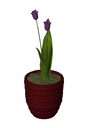 3D_Potted Plant_5