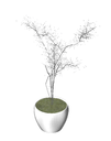 3D_Potted Plant_6