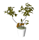 3D_Potted Plant_8