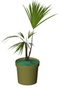 3D_Potted plant_2