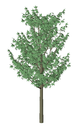 3D_tree