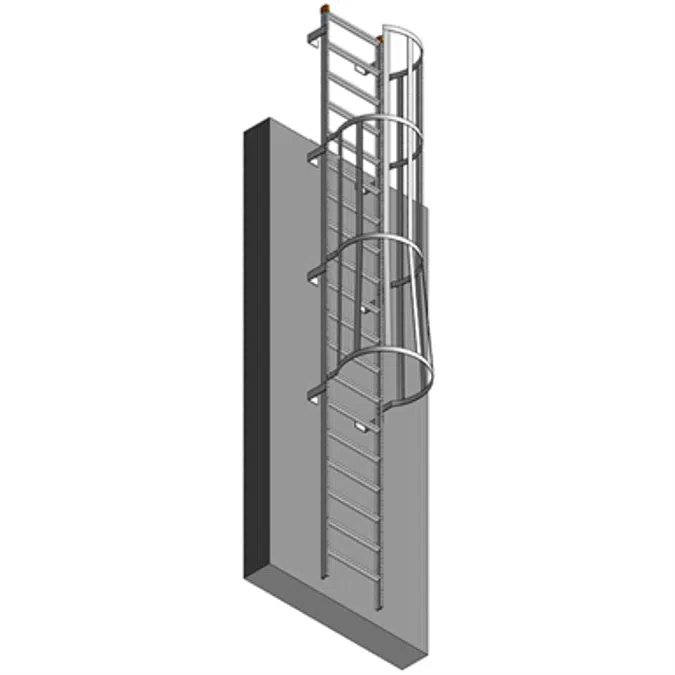 Fixed Ladder with Cage and Overshoot (Left Exit)