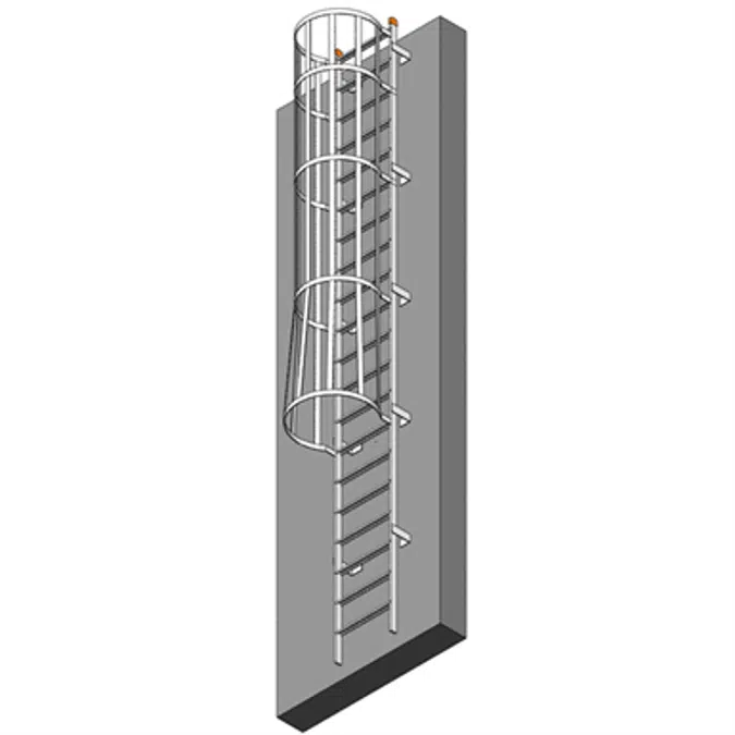 Fixed Ladder with Cage to Roof Hatch