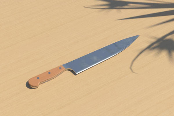 Kitchen Knife