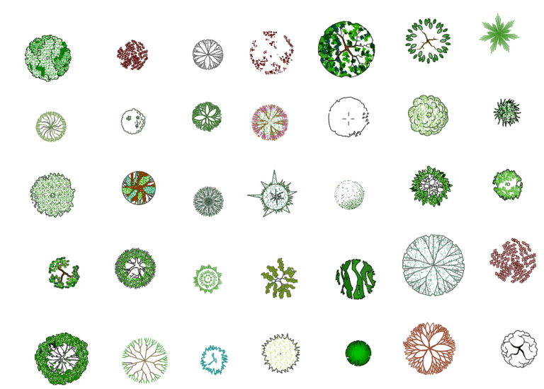 Trees - Site plan - Color ( Top view ) - AutoCAD blocks