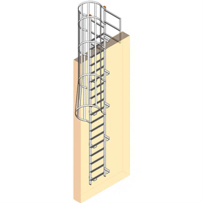 Tubular Fixed Ladder with Cage and Walk-Thru